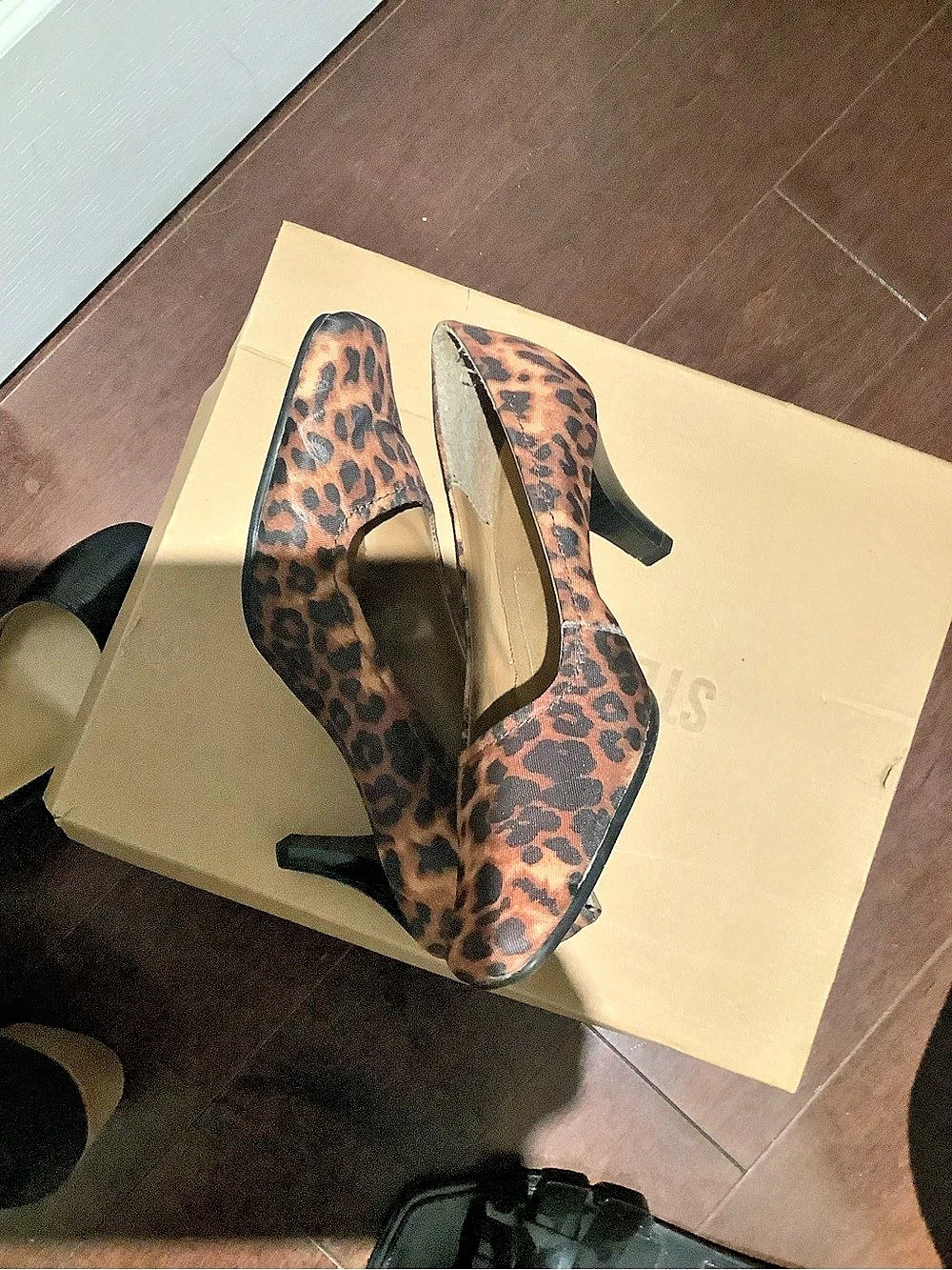 Leopard Print Pointed-Toe Heels